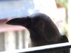 DSCF2814.jpg