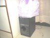 DSC09636.jpg