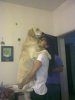 25042010136.jpg