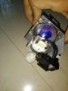 IMG_20171001_150528.jpg