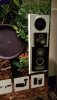 IMG-20180311-WA0042.jpg