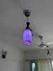 IMG-20180418-WA0019.jpg