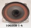 10gdsh-1-4_new.jpg