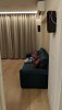 IMG-20190104-WA0049.jpg