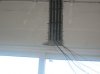 IMG_3195.jpg