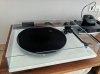 IMG-20190530-WA0019.jpg