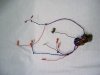 DSCN7282.JPG DSCN7282.JPG