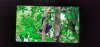 IMG-20190726-WA0008.jpg