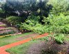 E7F37657-72E4-4536-9D4A-C526F372D512.jpeg