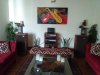 Living room potted plants 1.jpg