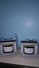 IMG-20200814-WA0007.jpeg