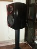 IMG-20200831-WA0010.jpg