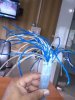 IMG_20130322_161546.jpg