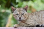 DSC_0181.JPG