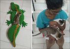 with croco.jpg