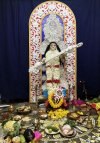 IMG_5774.jpg
