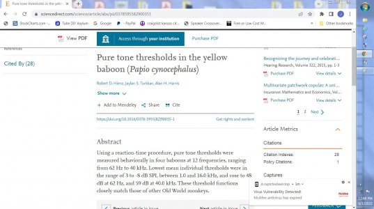 Baboon.JPG