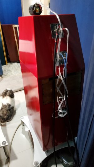 IMG-20221103-WA0010.jpeg