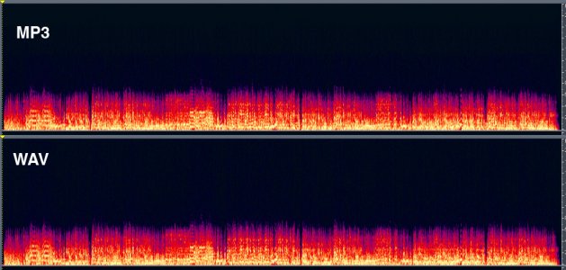 MP3WAV.jpg