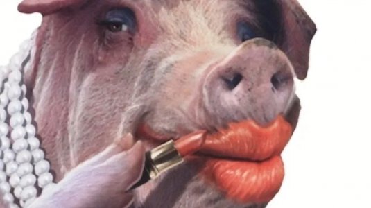 Lipstick-on-a-pig.jpg