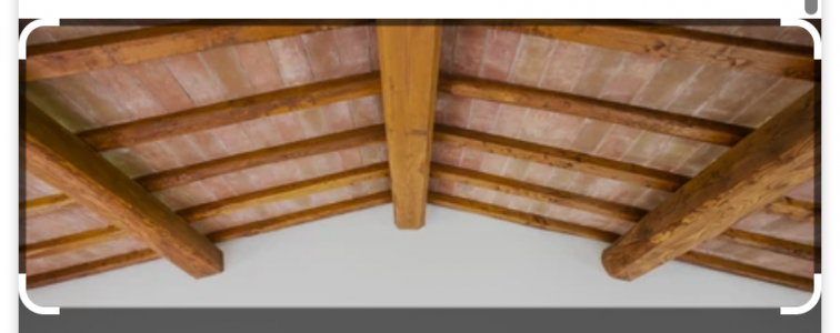 Screenshot 2023-01-20 at 17-54-33 wooden ceiling with rafters - Google Search.png