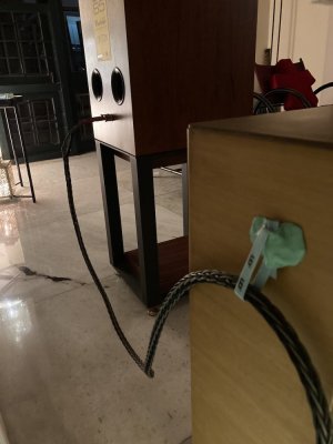 IMG_1739.jpeg
