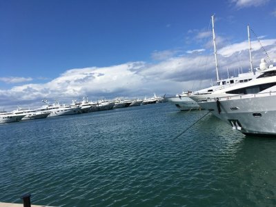 IMG_1552.jpeg