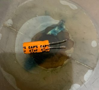 Caps Capacitor.jpeg