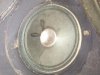Torn Tweeter.jpg