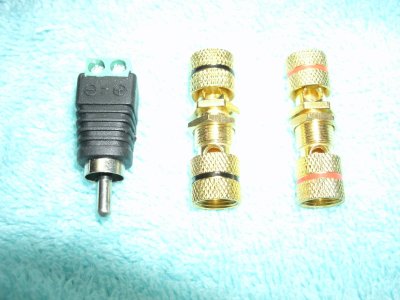 Speaker and RCA.jpg