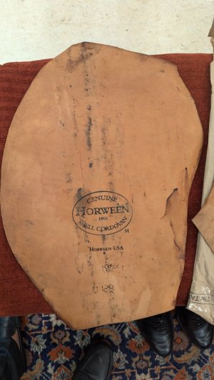 PXL_20240925_095336498.jpg
