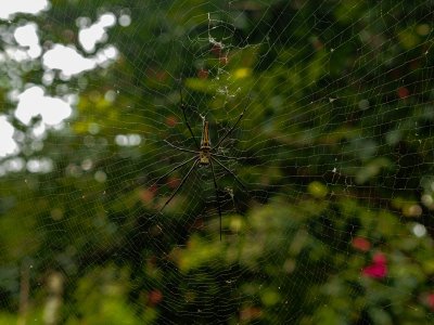 IMG_1086.jpeg