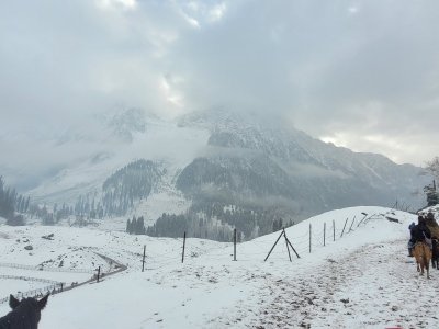 20241130_151852.jpg