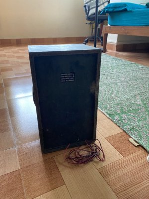IMG_4470.jpeg