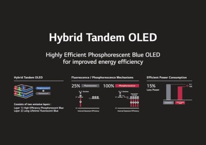 Photo-LG-Display-Becomes-World_s-First-to-Verify-Commercialization-of-Blue-Phosphorescent-OLED...jpg