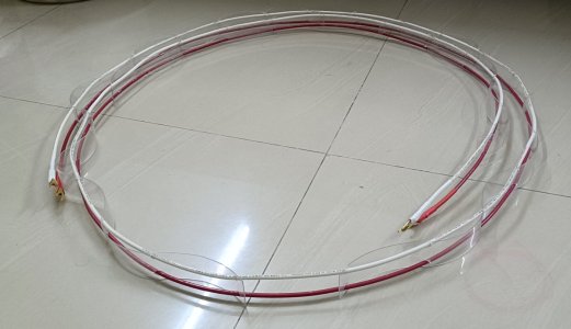 1000035495.jpg