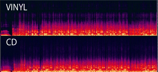 raat kali.jpg raat kali.jpg