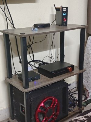 1000392521.jpg 1000392521.jpg