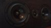 Close up.jpg