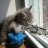 tashan_infinite