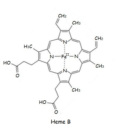 Flipped-Heme-B.jpg