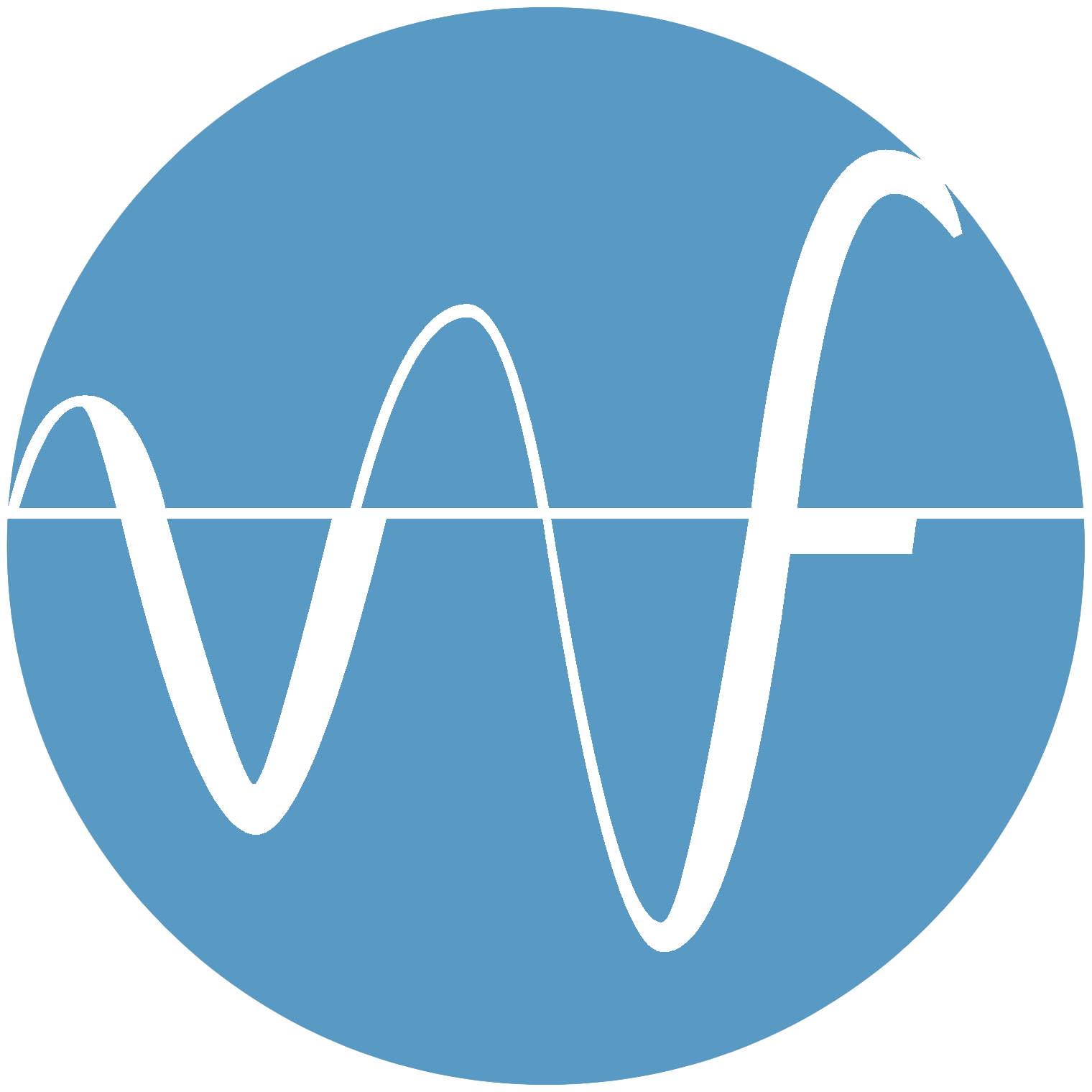 voicefoundation.org