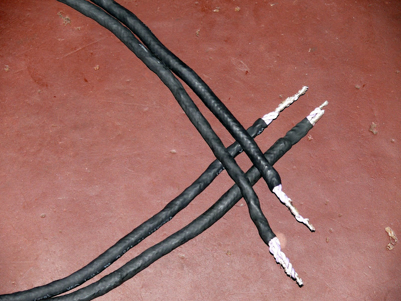 P1050858.JPG