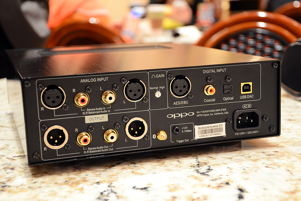 oppo_dac_rear_1000w.jpg