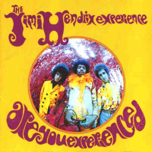 Are+You+Experienced.jpg