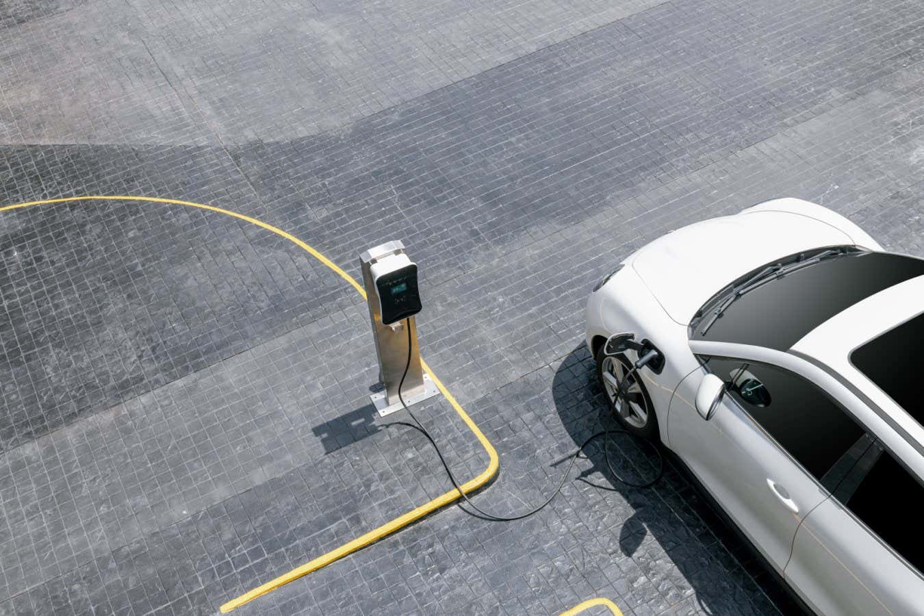 www.newscientist.com