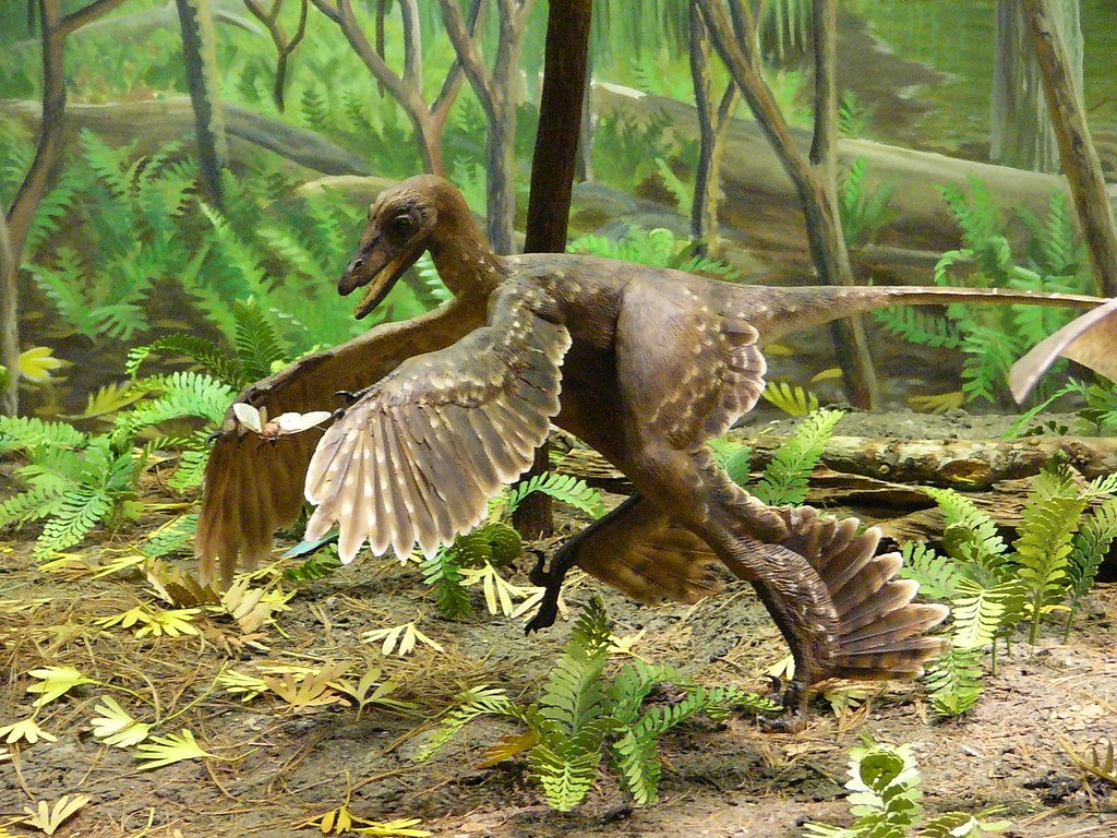 discoverwildscience.com
