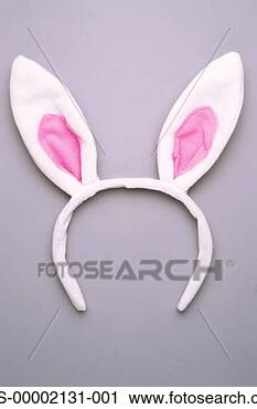 rabbit-ears-head_~PLS-00002131-001.jpg