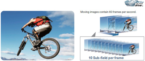 600subfield_en.jpg