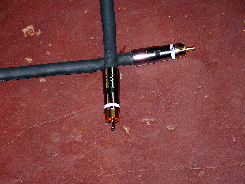 P1050880.JPG